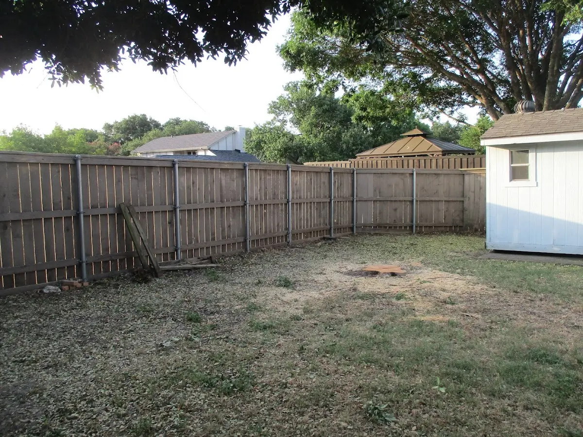 Cleared yard after professional tree removal in Adona
